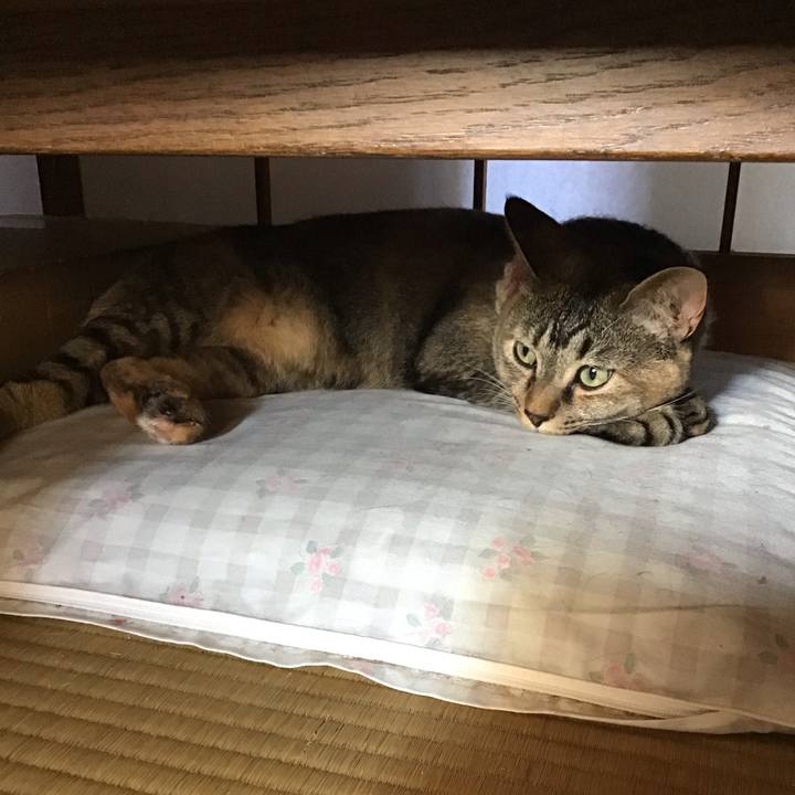 50bdc74f 84f2 4619 9dd3 fd5ac91e2a32 1627254015520