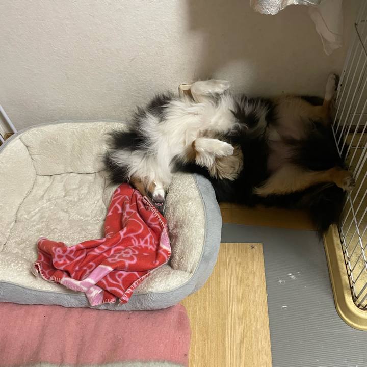 50bdcd96 2872 42a3 9b2b 3aea7728b25c 1681253580582