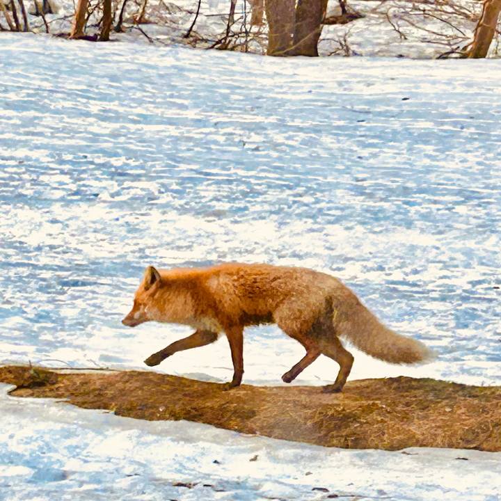 50bdd338 8547 4e8d 9178 678db3770266 1713220135373