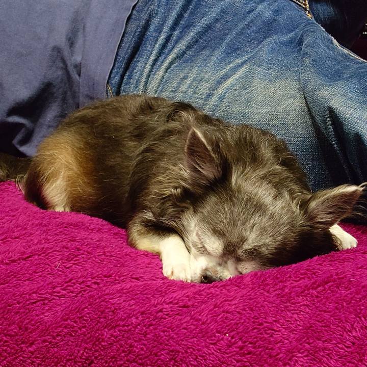 50bddbfb b56a 462a 8a77 7d43d05484ea 1759674470676