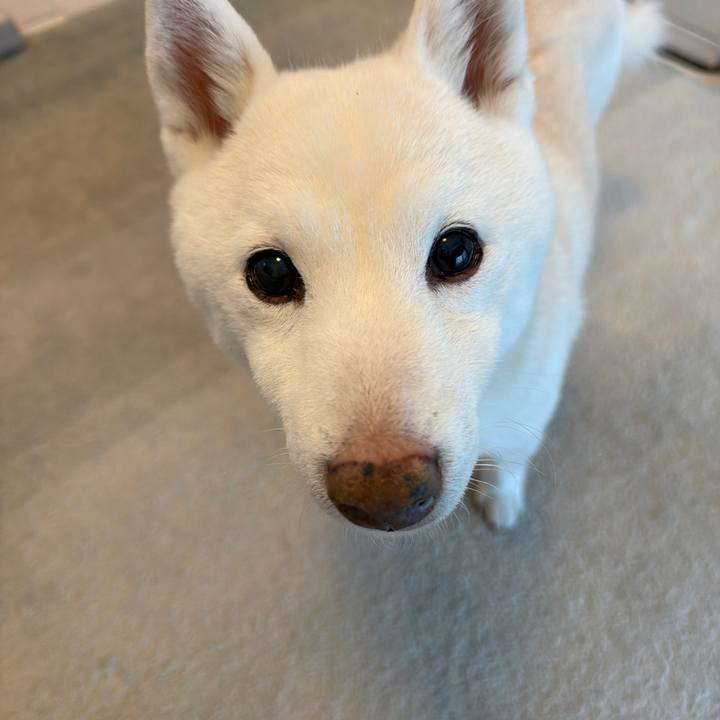 50bddca2 1e8e 46bb 9d35 82fdeaed18fa 1765756777423