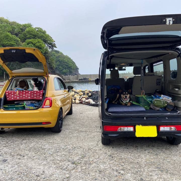 50bde08f 35eb 4013 91cc c0494d3c554c 1620141590036