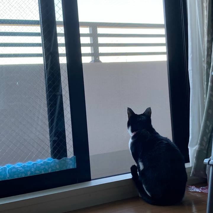 50be0dec c454 460e b23c 84aef698a9ff 1612675827236