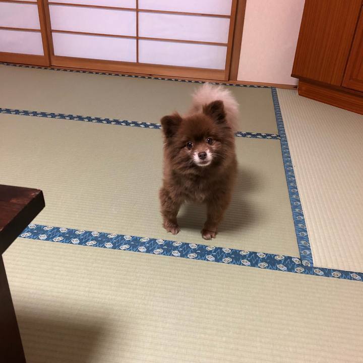 50be237b e421 488b bd61 08ba37aa57eb 1542669048161