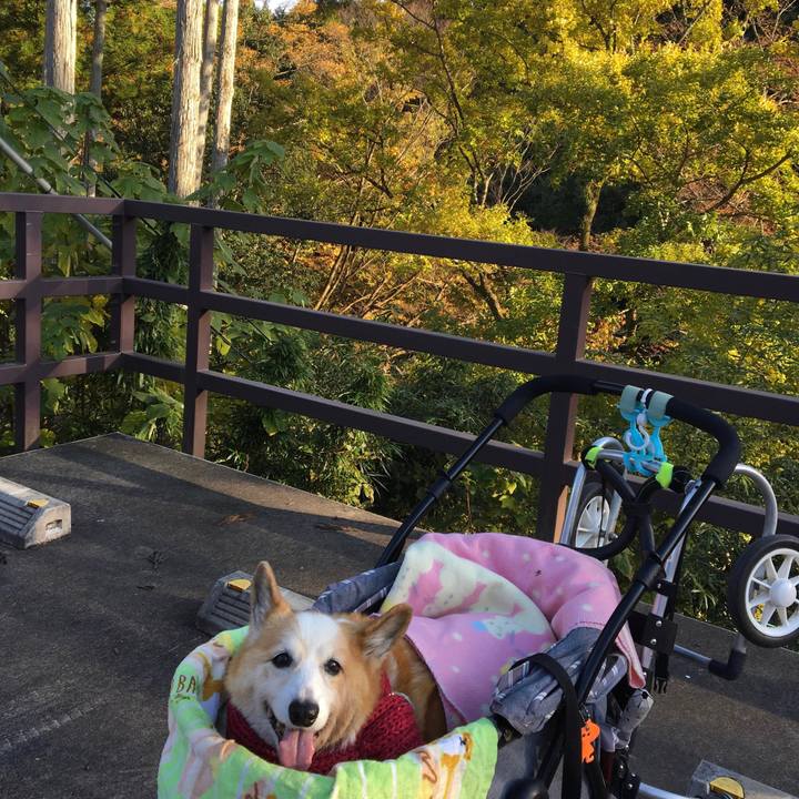 50be399a 03cc 4ebe a37d 3a379b2aef0e 1666570458395