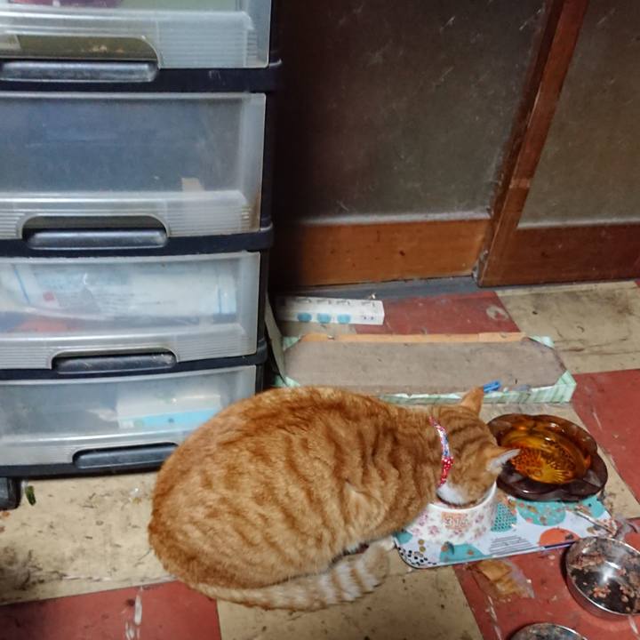 50be3c40 9f20 4a42 84ea f4b3d81c74d6 1577997880066