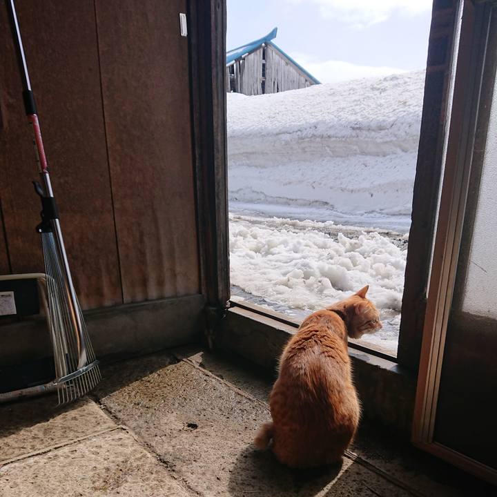 50bf113b 62f5 45c2 96d5 e54b87d168a0 1646619784864