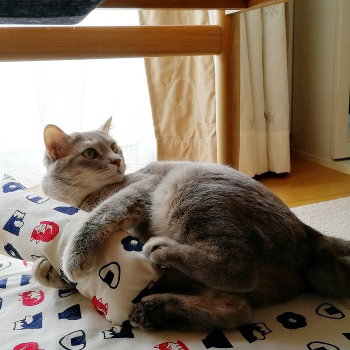 50bf4719 d172 4bfb b175 2bf3f6bf9f98 1534675716740