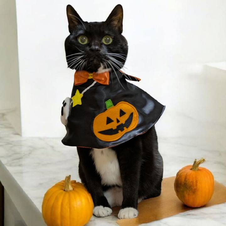 50bf4c3a 9700 4f54 9996 a55b3073fa1c 1761535324753