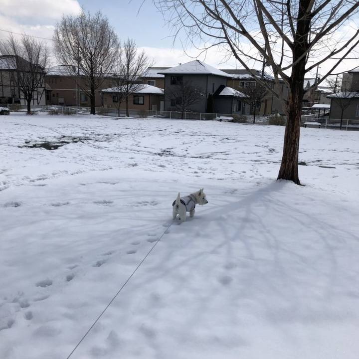 50bfa957 d042 4e7d 9199 f9c524fb25a9 1554205606054