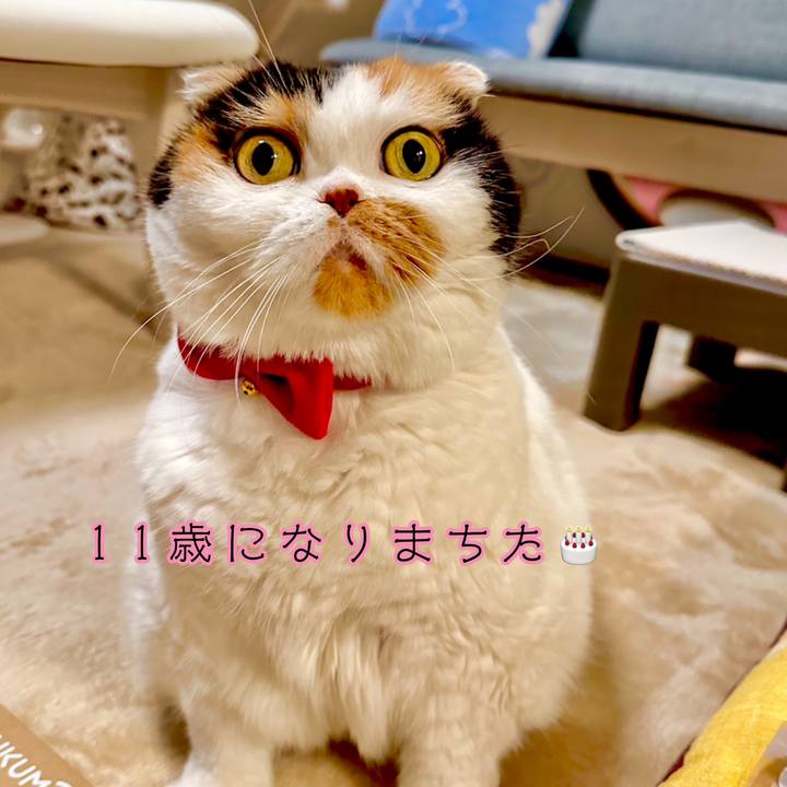 50bfc2b1 e330 40cc a05c 06ff30da88b3 1729518812575