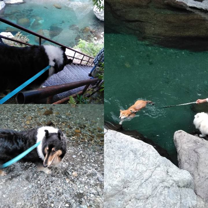 50bfe0d4 641b 4aba b42e 555572e1b196 1525090109319