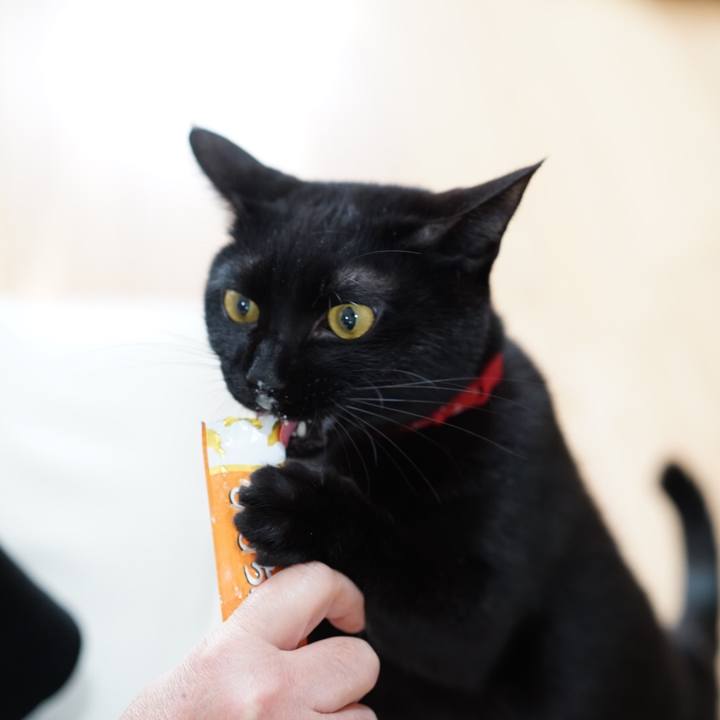 50bff68e 2b6c 4447 b73f 9d7a925aca89 1552487344717