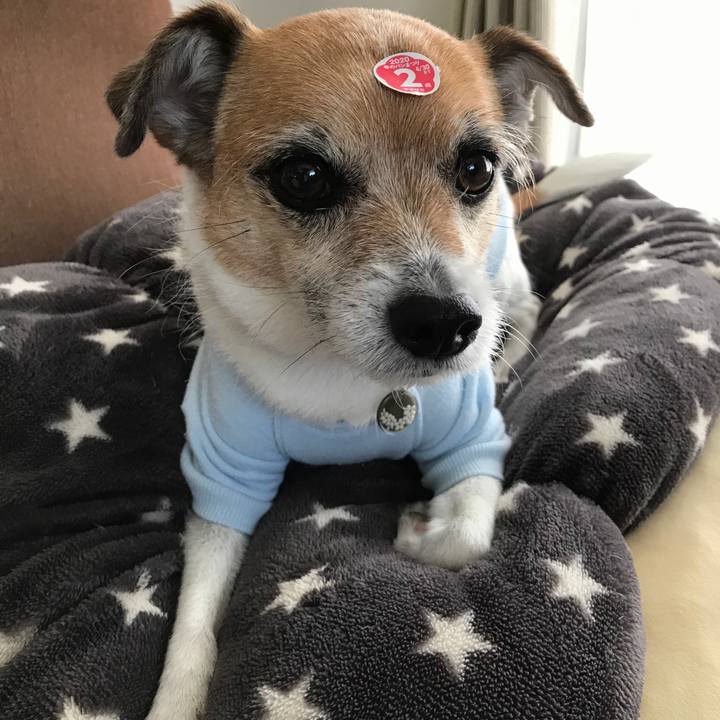 50bffce1 d472 459c a7a2 de5d843109e6 1583378645702