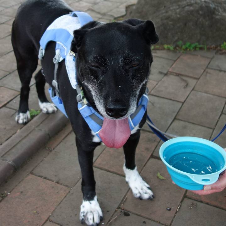 50c02864 6fdf 4ed3 a0f3 9218d454ee06 1720484863869