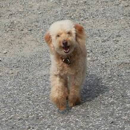 50c03553 080e 4d97 9347 7f6b2051baa7 1563308474938