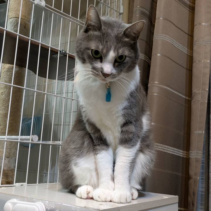 50c07094 4ce0 4e1b 97a3 529e298fcda7 1734299569711