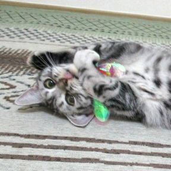 50c0b44a 61b8 4347 9f65 87fd3c6873c3 1541764313317