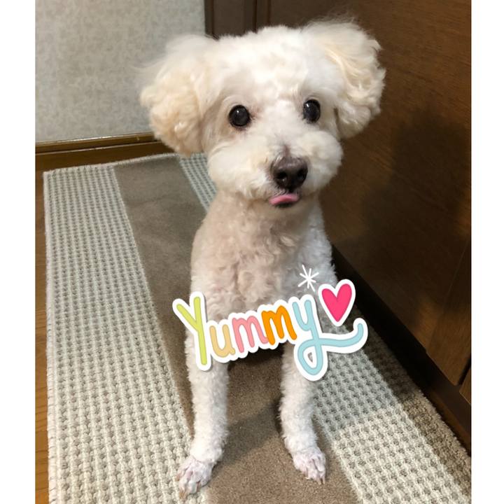 50c0cdfe 12b8 4885 be9c 53f6287ecc39 1537968734779