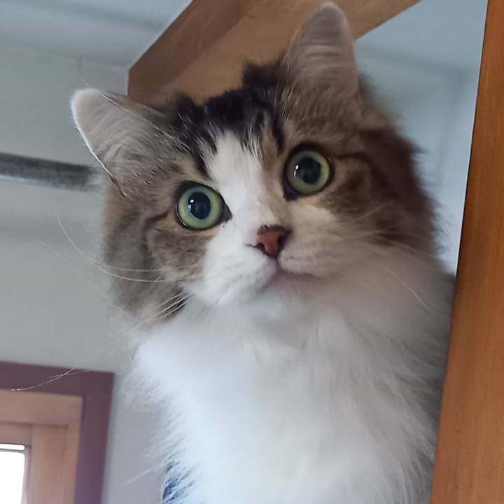 50c0f2c2 1e98 4d80 a915 4c8c3bf9ddb4 1640827362437