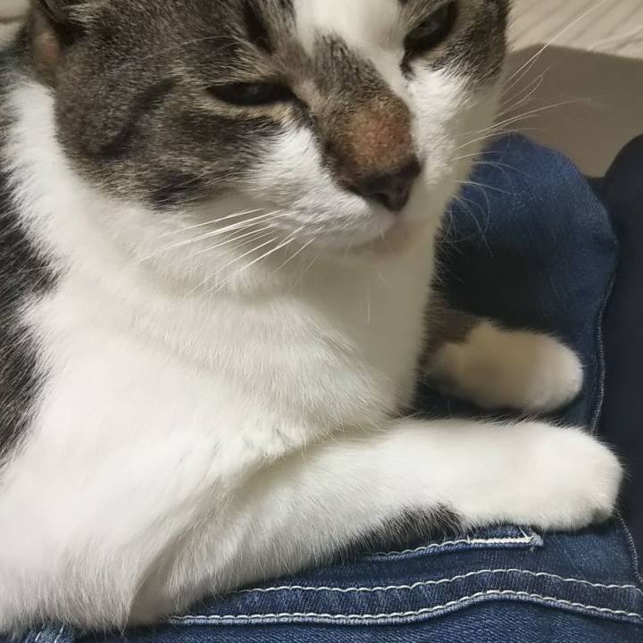 50c0fdbd 7b44 4968 9faa 259d6d0597c6 1605533525996