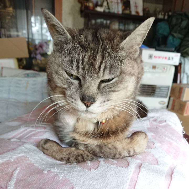 50c13906 1b4d 4dfc 81b8 2d5cc32f9126 1591423253071