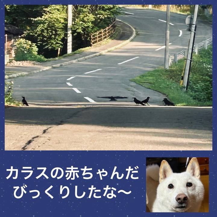 50c17eb5 2446 4998 9069 a8532cc5cb09 1753910828100