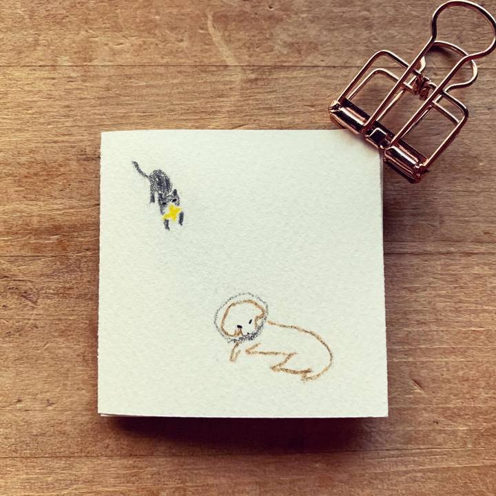 50c19e32 b187 4fad bdab 2dd9d6a1a5b5 1639640311127