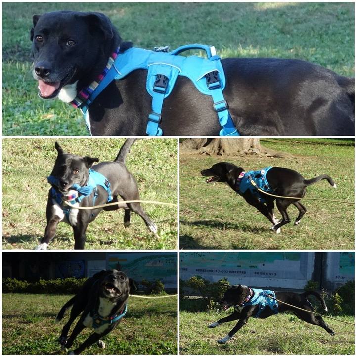 50c1cc13 6b61 447b a989 38d7d7178d28 1635035703279