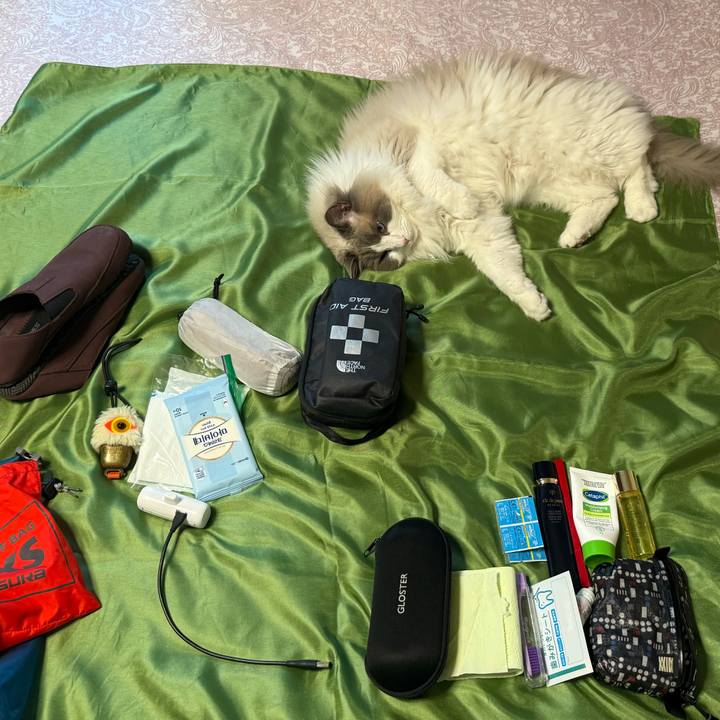 50c1d5ec 217b 486d a5ee 88830af45761 1748315041123