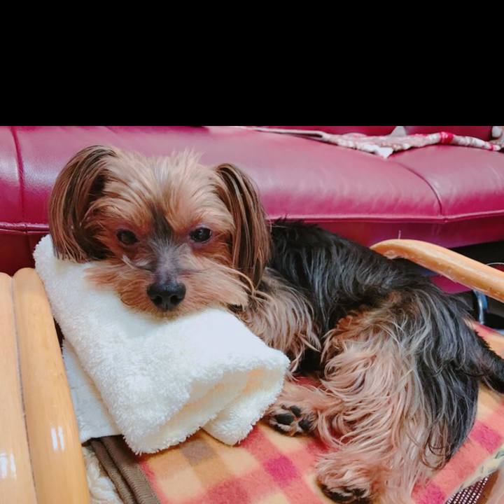 50c1d729 bf71 4f74 8739 6e68abe55d71 1534985784877