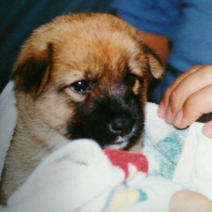 50c1e4b4 bc7b 43ed a862 66eeb3d59398 1522234653004