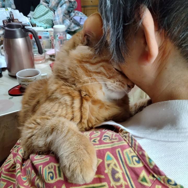 50c1e597 63b1 41cf b5c3 7bbb20830121 1747521770543