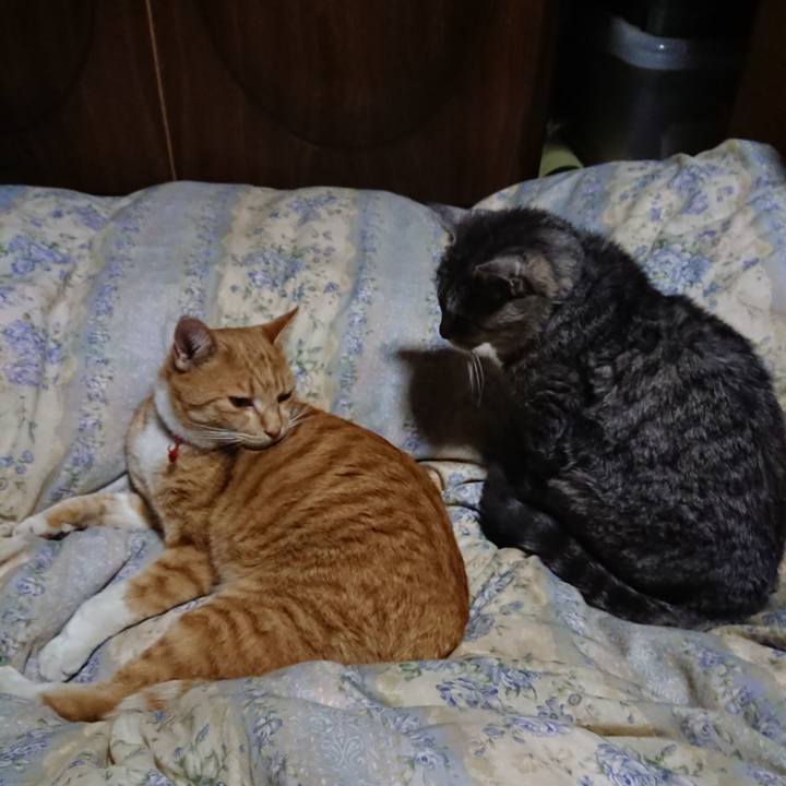 50c1f511 781f 4088 8cc7 da0e377aef80 1573214818129