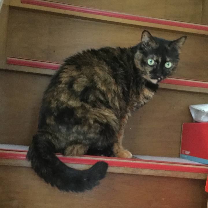 50c21898 338a 436b 85d9 5aa885d877c4 1616503960763