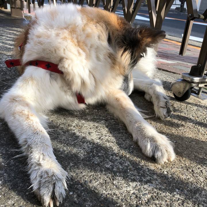 50c24126 0a33 4db1 81b5 dcbeaf084dd0 1546907683839