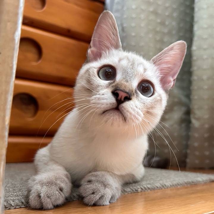 50c25428 83f8 47af b6d0 1f11df0b6051 1725872905963