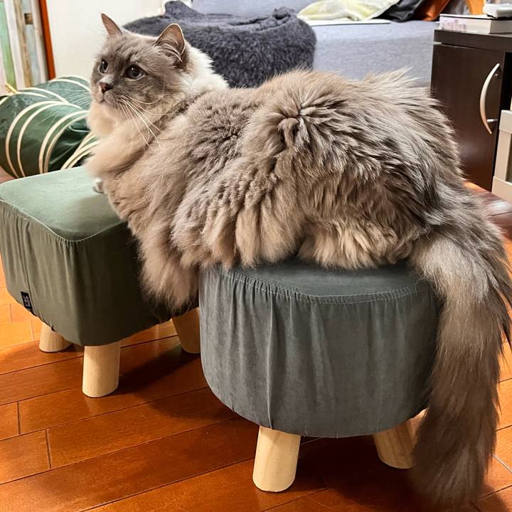 50c2543e fe04 42eb 8ce0 68bb0bd931cf 1674002123313