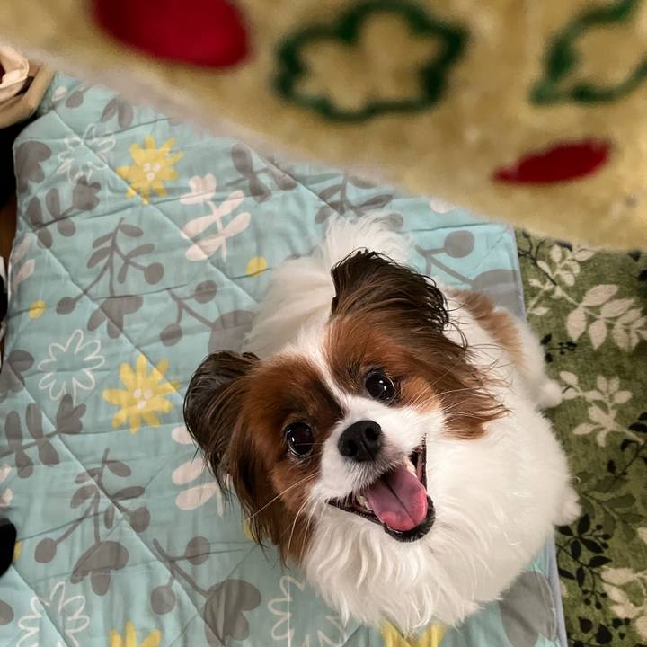 50c29f54 2390 4bbd aac6 f815a047ad59 1720654773749