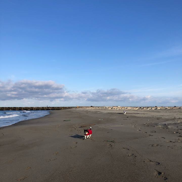 50c2a136 a9dd 4f71 b0c0 71928a9761db 1580001927258