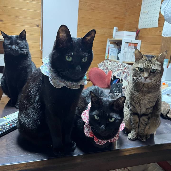 50c2e146 4d6b 401d 8b29 4375f48719f7 1737723348115