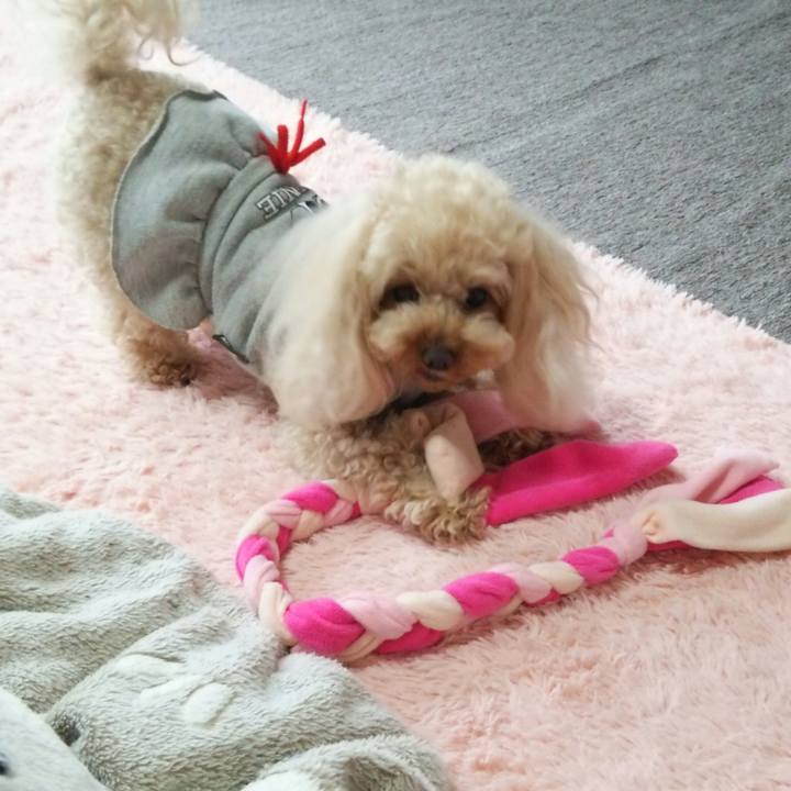 50c2e9e5 f919 4496 94df ea8fdf6a9c7c 1523964031919