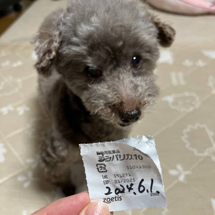 50c30807 b8f5 44e2 869c 78e59536545b 1717236108263