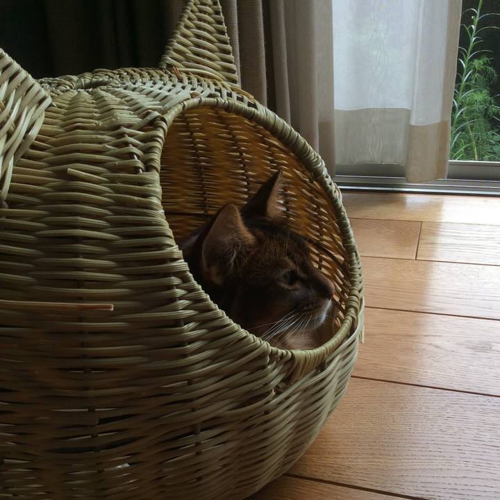 50c30a06 cbae 4559 bafa a823ce7d976e 1629363200938