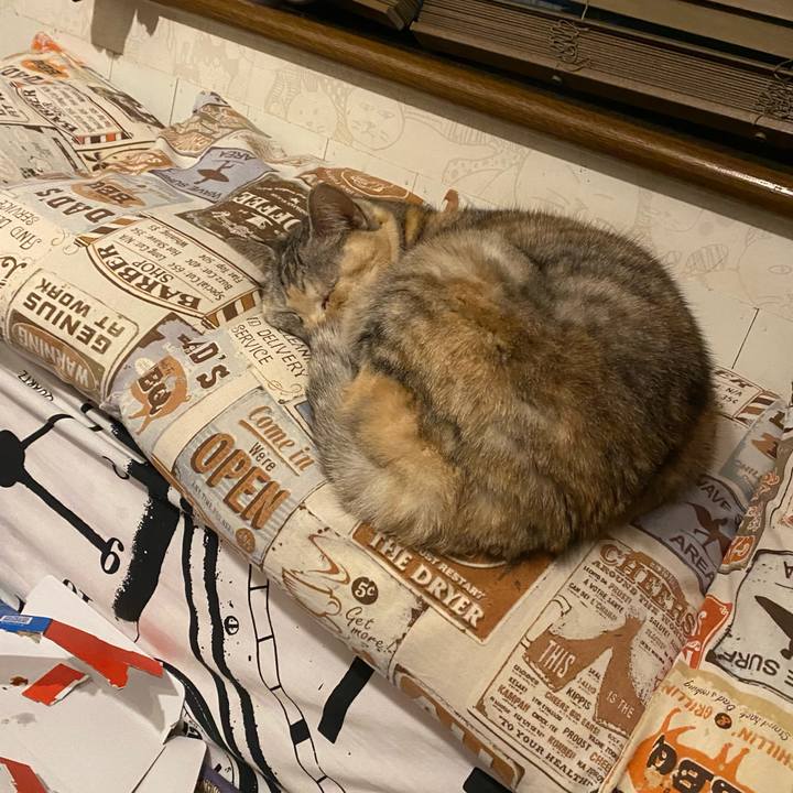 50c36a10 239d 49cb 9b2d 991e4a99a19f 1672145651318