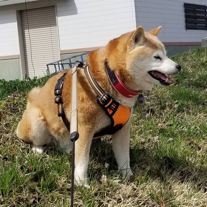 50c36e4c 5fad 45a4 afed 9ba1338cef07 1713348193891