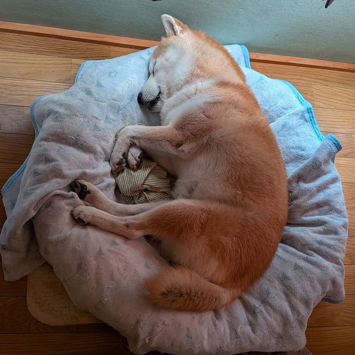 50c38fd5 495e 49b4 b003 f3a832c1f1e3 1761302547144