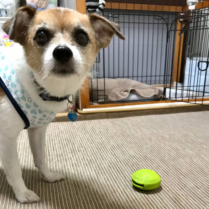 50c3b52e bcc2 433b 91a9 f73be9eec331 1600148712430