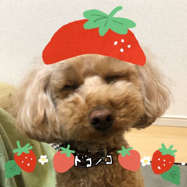 50c3bd6f 5e7f 4218 9345 4762925b5309 1775385747293