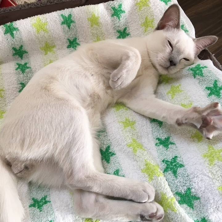 50c3cdc0 e57b 4247 bc9d a2d47aa9aa97 1740486276439